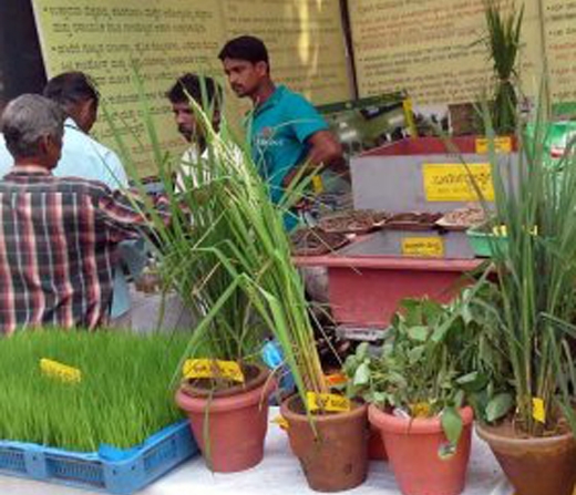 krishi mela